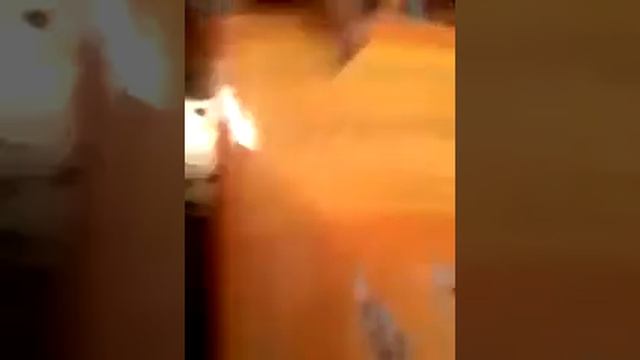 1 собачка Металлический конструктор делаем собачку смотреть онлайн