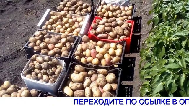 Удобрение Agromax Состав смотреть онлайн