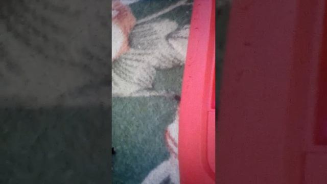 Обзор колонки CHARGE Mini3+ смотреть онлайн