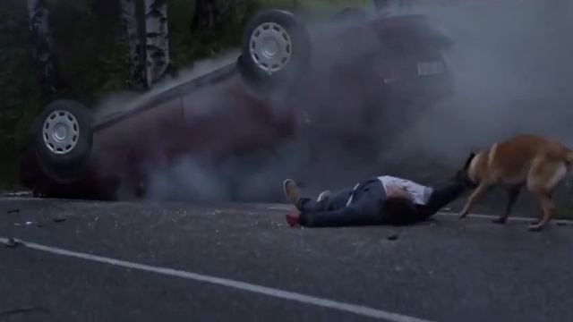 (БПАН) Собаки самые верные существа смотреть онлайн