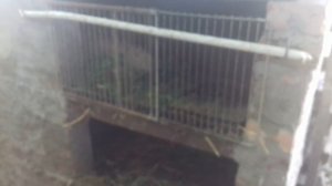 Зимняя и летняя клетка для нутрий!