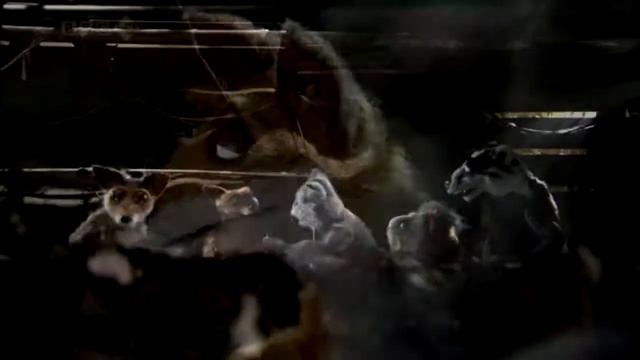 Друг всегда поможет! смотреть онлайн