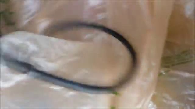 Garage Sale Finds ~ Audubon Print .. N64 Games .. Watchmen Movie Poster .. MMPR Rings смотреть онлайн