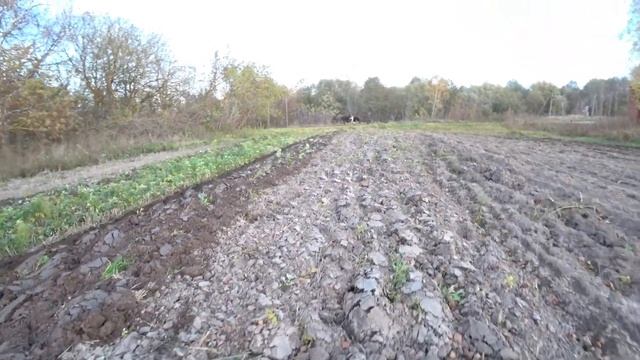 Советский трактор Т-25 даст фору любому Японцу. Осенняя пахота. 18.10.2022г. Отличная работа❗ смотреть онлайн