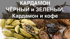 Кардамон чёрный и зелёный. Кардамон и кофе