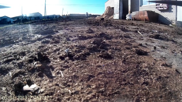 Ферма КРС с высоты птичьего полета смотреть онлайн