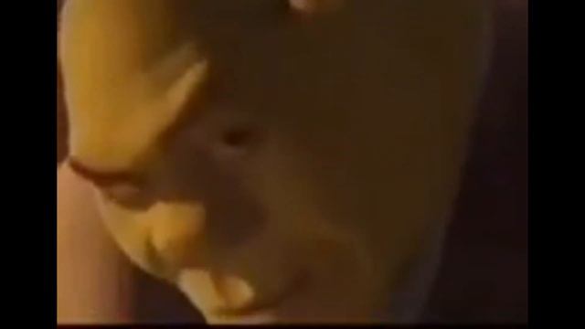 Хочешь покажу шрека смотреть онлайн