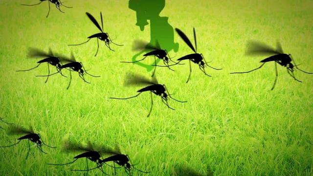 АНТИКОМАР.РФ - уличные ловушки для комаров, крысоловки, мышеловки, ультразвуковые отпугиватели смотреть онлайн