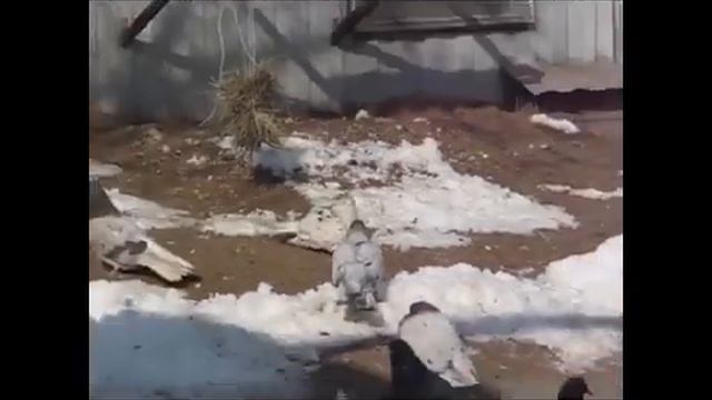 Судьба. Этапы жизненного пути. смотреть онлайн