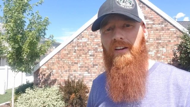 DIY How to Fix Overwatering fungus without fungicide application. Melting Out & Leaf spot fix. смотреть онлайн