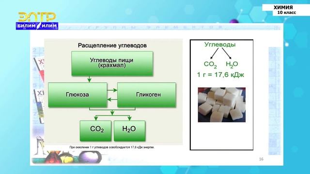 10-класс | Химия | Полисахариды. Крахмал и целлюлоза – природный полимер. Свойства и применение смотреть онлайн
