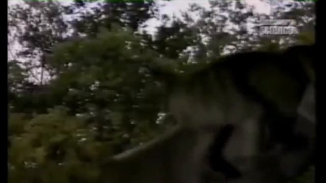 Барбурофелис фрики: Мощный хищник с клыками в 23 сантиметра смотреть онлайн