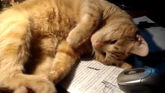 Завис процессор смотреть онлайн