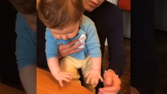 Маленький дятел Вуди смотреть онлайн