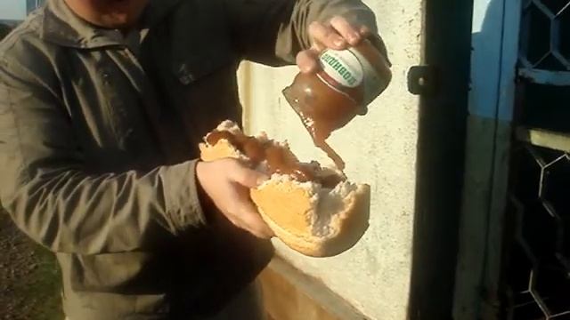 медведи.MPG смотреть онлайн