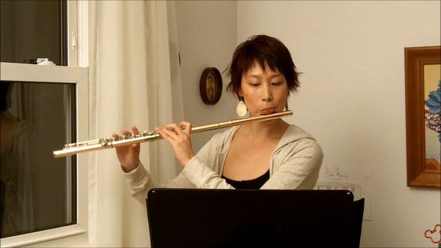 Flute Toot-orial: Etude Allegro moderato (GMEA 9-10) 2/2 смотреть онлайн