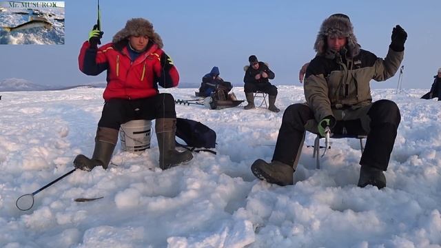 Ловля корюшки (зубаря) на RX-5 с блеснами в виде гирлянды смотреть онлайн