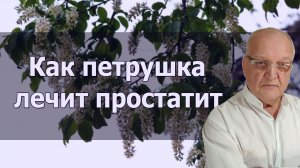 Как петрушка лечит простатит (720p).mp4