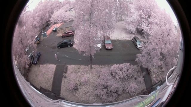 Моя айPICAMера 1920x1440 fisheye смотреть онлайн