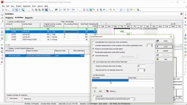 Leveling Priorities Using Hierarchical Activity Codes смотреть онлайн