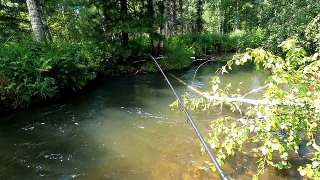 Ловля,Рыбалка /Хариус,Ленок/ТАЕЖНАЯ речка РАДУЕТ!/Думал зацеп!!! 1.5 кг деликатеса /Сломал Удочку. смотреть онлайн