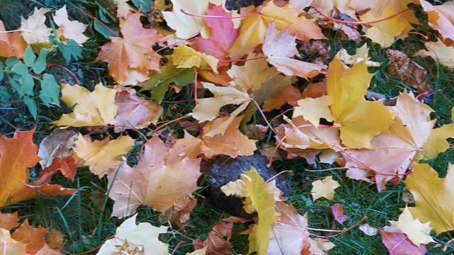 pringe3 & Lx24 -Когда Ты Рядом Со Мной_ When You Are Near Me смотреть онлайн