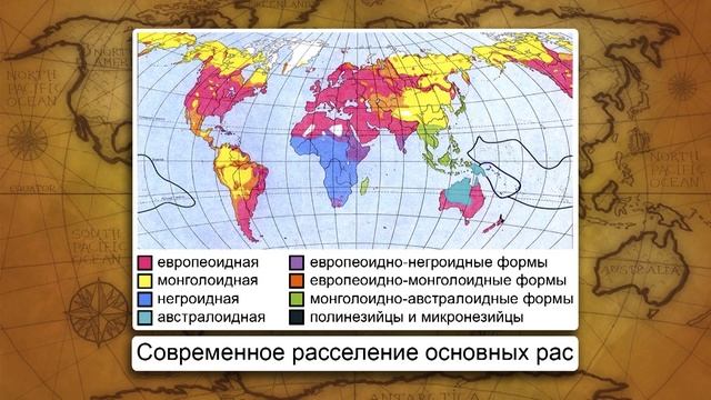 Как люди заселяли Землю. Видеоурок по географии 5 класс смотреть онлайн