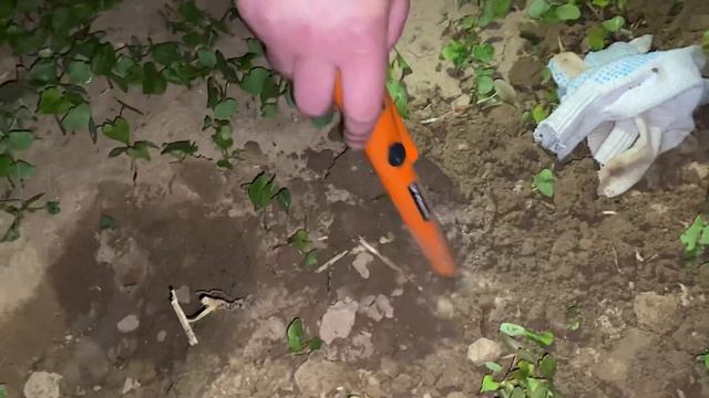 3 ДНЯ И ТРИ НОЧИ ИСКАЛИ МОНЕТЫ! Небольшая ЭКСПЕДИЦИЯ смотреть онлайн