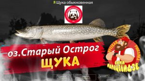 Ловля Щуки на Старом Остроге на воблер. Русская Рыбалка 4.