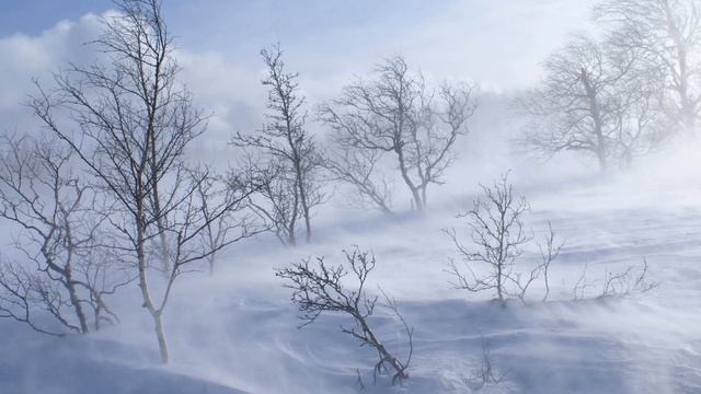 Расцветай, Сибирь! - Елена и Игорь Кравцовы... Братск.mp4 смотреть онлайн