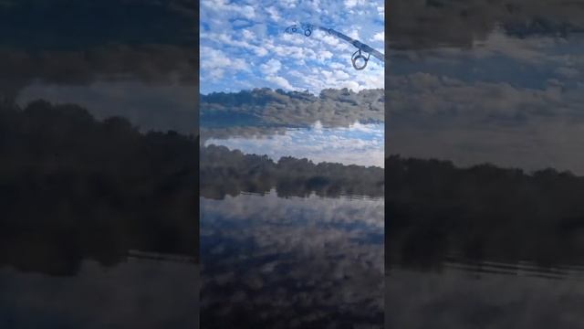 ГРУЗИЛО НА ДОНКУ С ВОЛШЕБНЫМ ЛЕПЕСТКОМ. ГРУЗИЛО НЕЗАЦЕПЛЯЙКА СВОИМИ РУКАМИ. #Shorts #рыбалка смотреть онлайн