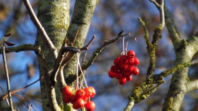 Cool pictures with my camrea. WB1100F. #3 смотреть онлайн