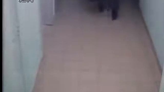 Скрытая камера в подъезде смотреть онлайн