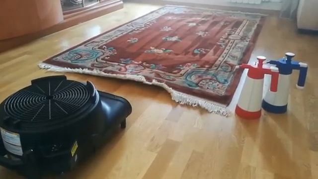 #4 Сушка ковра американским феном после химчистки | Клининг в Новосибирске смотреть онлайн