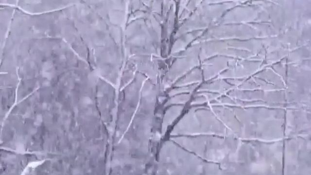 Healing music for restless minds, musiqi üçün stress relief..? смотреть онлайн