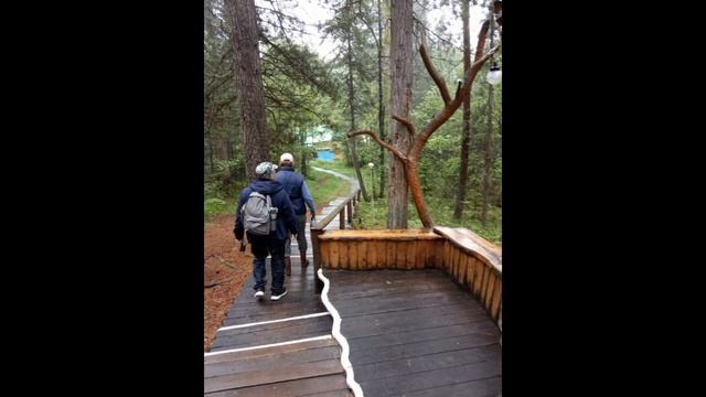 Rutube_account_23349625