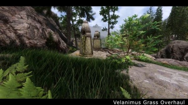 Skyrim SE: Best Grass Mods