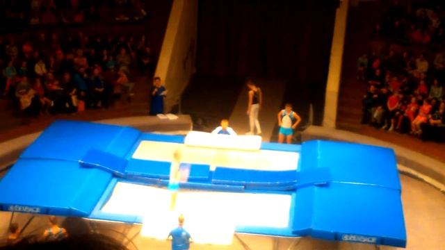 ЦИРК.АКРОБАТИКА. смотреть онлайн