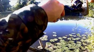 Уклейка на бомбарду /сбирулино/