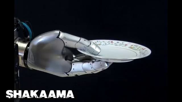 TECH | JAPAN RELEASES FULLY FUNCTIONING FEMALE ROBOTS 15 - Shakaama смотреть онлайн