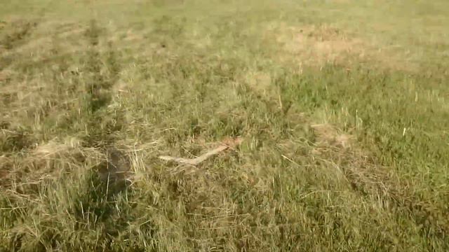 Самодельный бумеранг - Первый бросок! (выпуск 1) смотреть онлайн