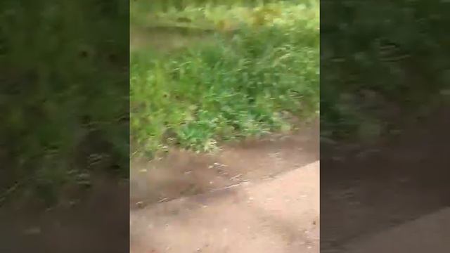 Почему система не работает без пинка?