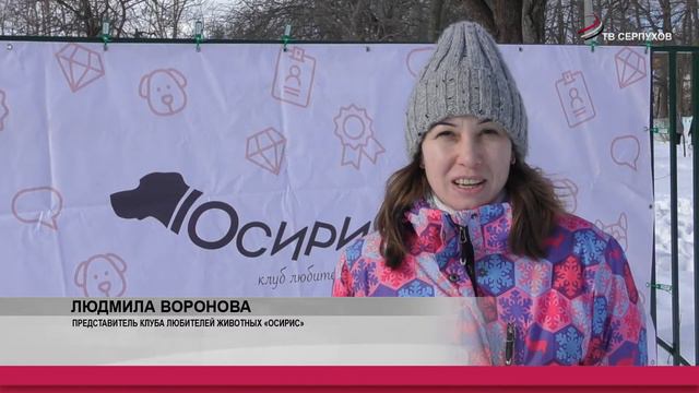 Каждое воскресенье в парке «Жемчужина» проходят встречи дог клуба смотреть онлайн