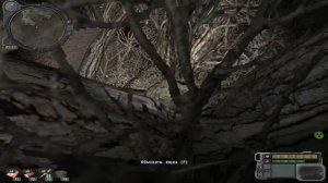 S.T.A.L.K.E.R.-Опасный вирус. (Схрон для начинаюших игроков)