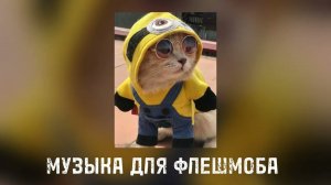 Музыка для флешмоба