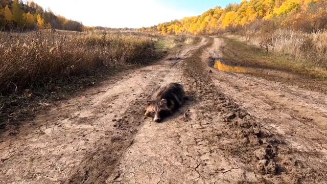 Походный Оптимист "The last trip" смотреть онлайн