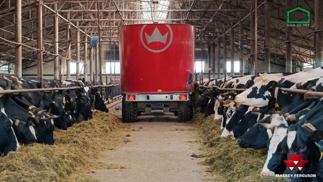 ТОП тандем? Обзор кормораздающего тандема Massey Ferguson 6713 и SILOKING TrailedLINE краткий обзор смотреть онлайн