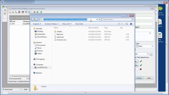 How To Make A Database Connection Using Direct TNS and LDAP смотреть онлайн