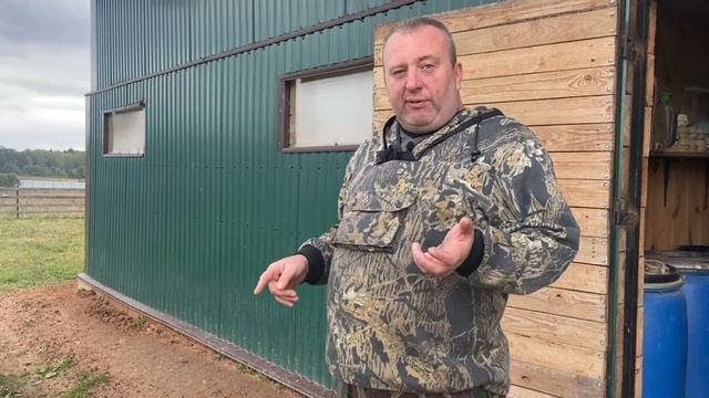 Лёгкий способ повысить яйценоскость кур. смотреть онлайн