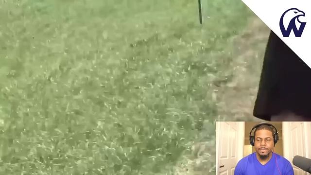 Cops Go Bananas смотреть онлайн